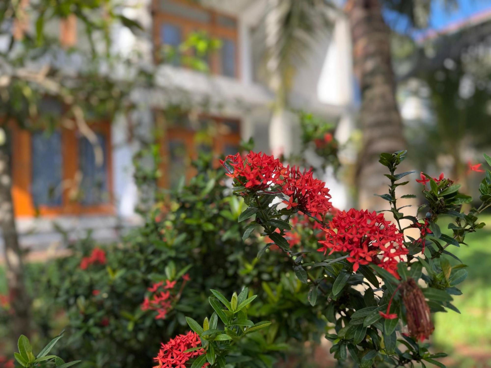 Hotel New Ocean Breeze Madiha Matara Zewnętrze zdjęcie